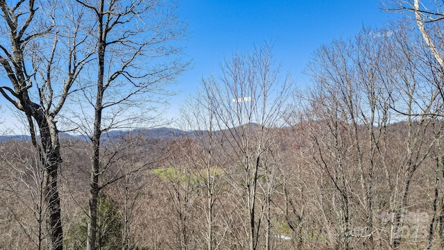 15 Our Way Dr, Mars Hill, NC 28754 - photo 14