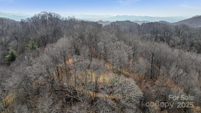 15 Our Way Dr, Mars Hill, NC 28754 - photo 16