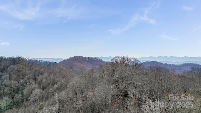 15 Our Way Dr, Mars Hill, NC 28754 - photo 17