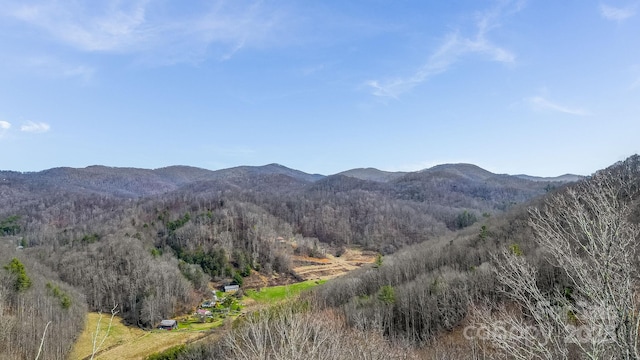 15 Our Way Dr, Mars Hill, NC 28754 - photo 18