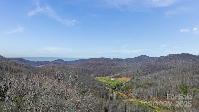 15 Our Way Dr, Mars Hill, NC 28754 - photo 19