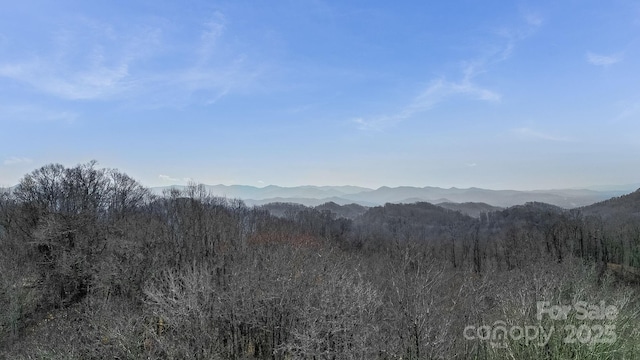 15 Our Way Dr, Mars Hill, NC 28754 - photo 20