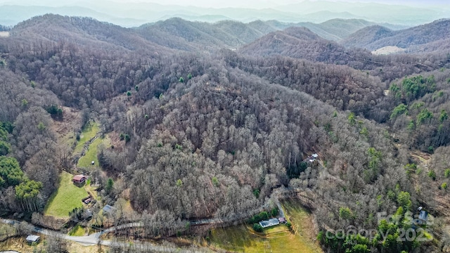 15 Our Way Dr, Mars Hill, NC 28754 - photo 21
