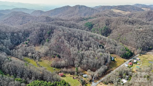 15 Our Way Dr, Mars Hill, NC 28754 - photo 22