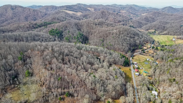 15 Our Way Dr, Mars Hill, NC 28754 - photo 23