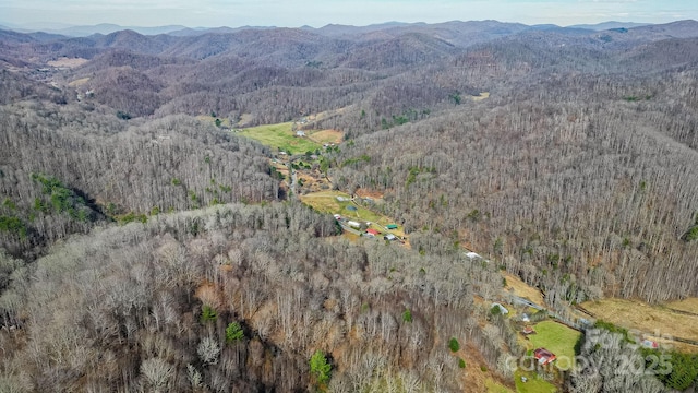 15 Our Way Dr, Mars Hill, NC 28754 - photo 24
