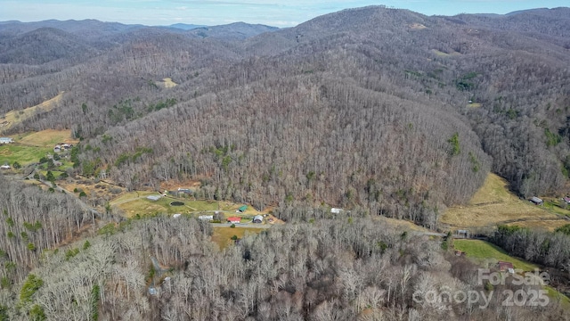 15 Our Way Dr, Mars Hill, NC 28754 - photo 25