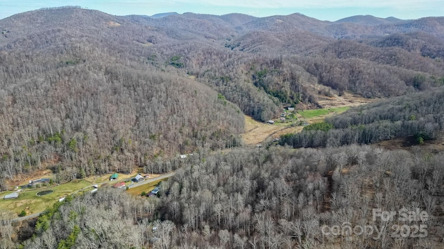 15 Our Way Dr, Mars Hill, NC 28754 - photo 26