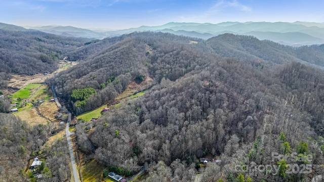 15 Our Way Dr, Mars Hill, NC 28754 - photo 28