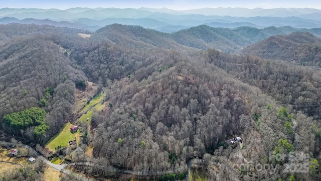 15 Our Way Dr, Mars Hill, NC 28754 - photo 29