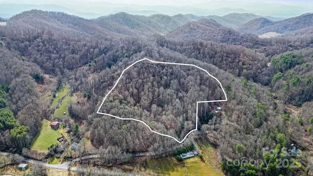15 Our Way Dr, Mars Hill, NC 28754 - photo 30