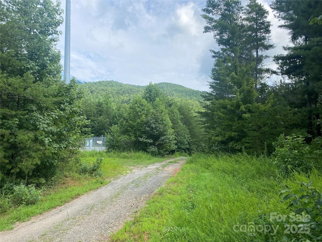 0 Camp Mccall Rd, Bostic, NC 28018 - photo 21