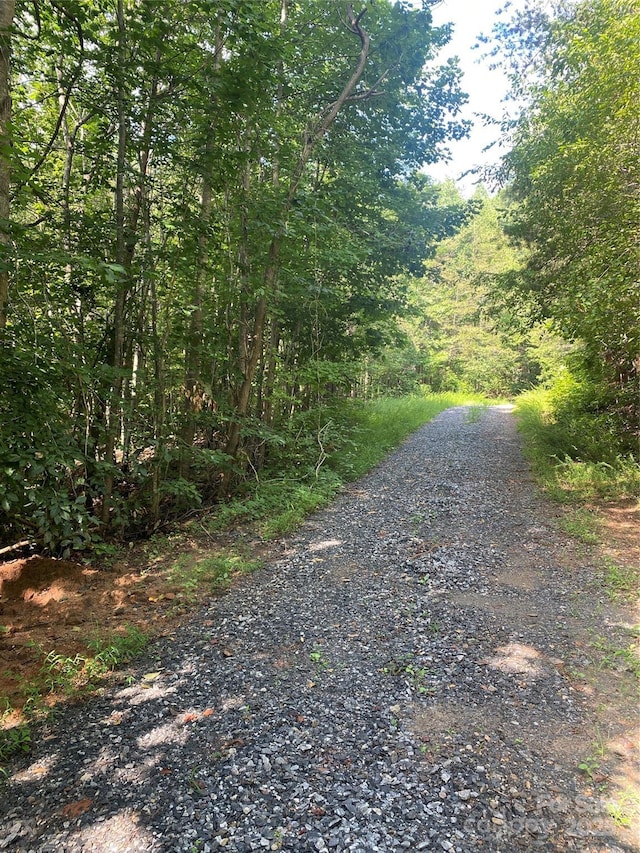 0 Camp Mccall Rd, Bostic, NC 28018 - photo 20