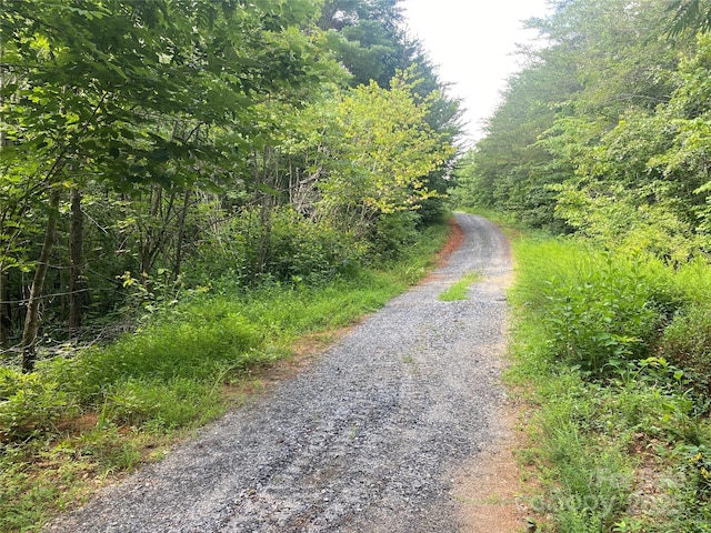 0 Camp Mccall Rd, Bostic, NC 28018 - photo 7