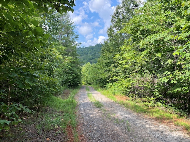 0 Camp Mccall Rd, Bostic, NC 28018 - photo 8