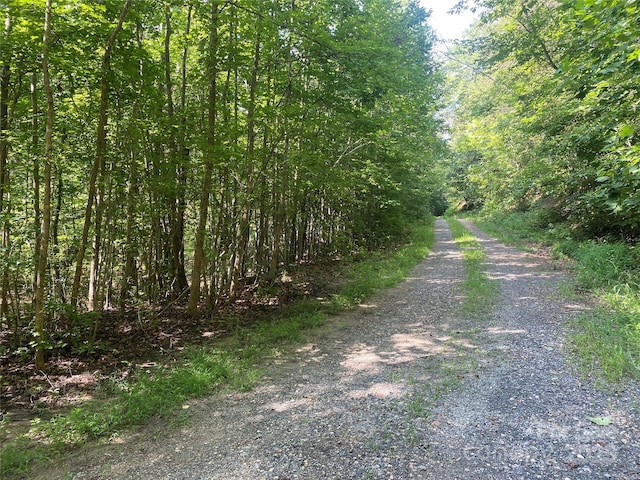 0 Camp Mccall Rd, Bostic, NC 28018 - photo 6