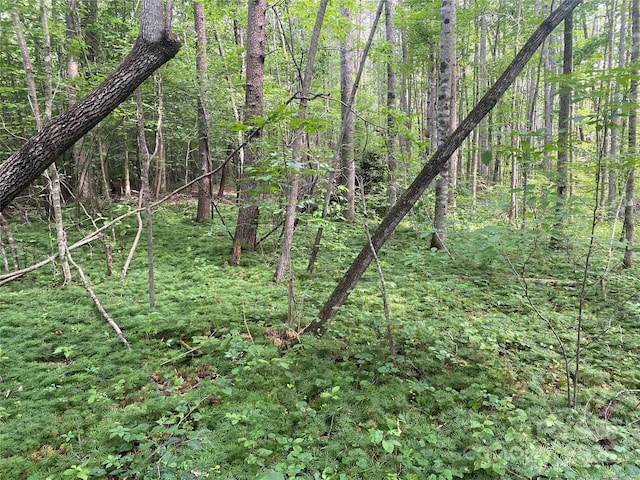 0 Camp Mccall Rd, Bostic, NC 28018 - photo 10
