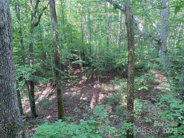 0 Camp Mccall Rd, Bostic, NC 28018 - photo 14