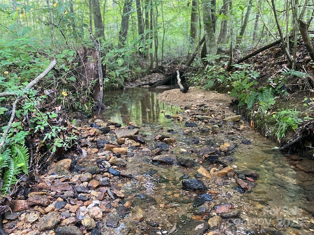 0 Camp Mccall Rd, Bostic, NC 28018 - photo 15