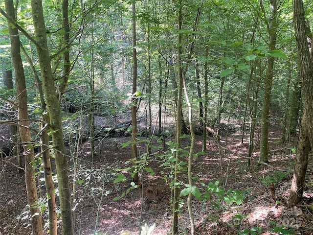 0 Camp Mccall Rd, Bostic, NC 28018 - photo 19