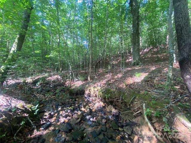 0 Camp Mccall Rd, Bostic, NC 28018 - photo 25