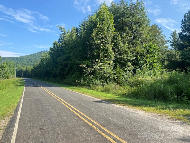 0 Camp Mccall Rd, Bostic, NC 28018 - photo 26