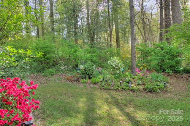 39 Oak Ct, Fletcher, NC 28732 - photo 31