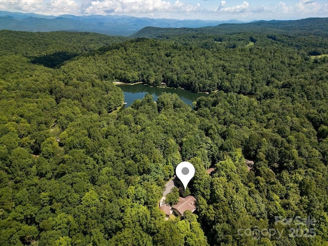 58 Warwaseeta Ct, Brevard, NC 28712 - photo 4