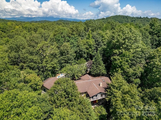58 Warwaseeta Ct, Brevard, NC 28712 - photo 5