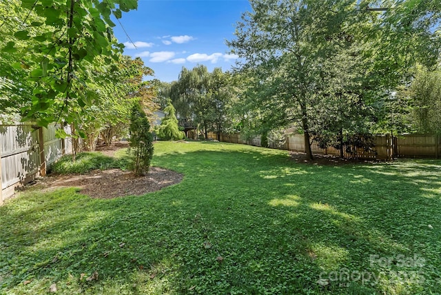 258 Broad St, Marion, NC 28752 - photo 34