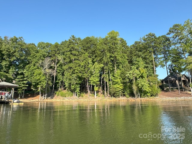 1532 Reflection Pointe Blvd, Belmont, NC 28012 - photo 1