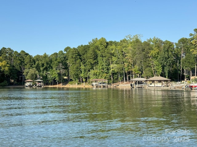 1532 Reflection Pointe Blvd, Belmont, NC 28012 - photo 4