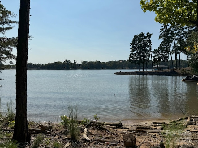 1532 Reflection Pointe Blvd, Belmont, NC 28012 - photo 7
