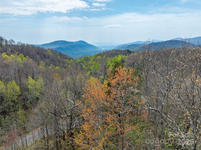 2603 Mckenzie Way N Unit 244/245/246, Old Fort, NC 28762 - photo 1