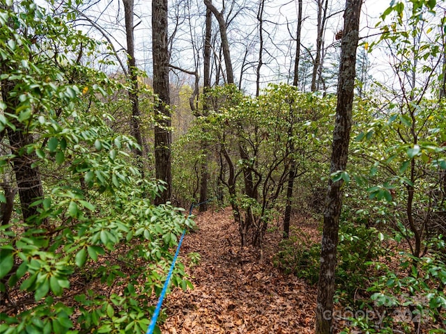 2603 Mckenzie Way N Unit 244/245/246, Old Fort, NC 28762 - photo 13
