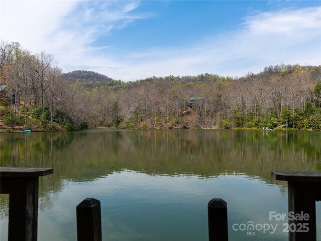 2603 Mckenzie Way N Unit 244/245/246, Old Fort, NC 28762 - photo 22
