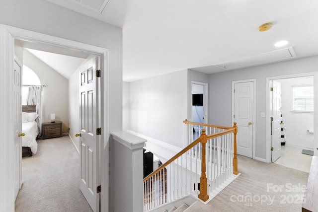 217 Otman Ct, Rock Hill, SC 29732 - photo 7
