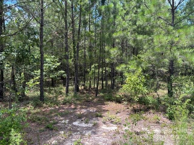 0000 Feather Run Rd, Kershaw, SC 29067 - photo 1