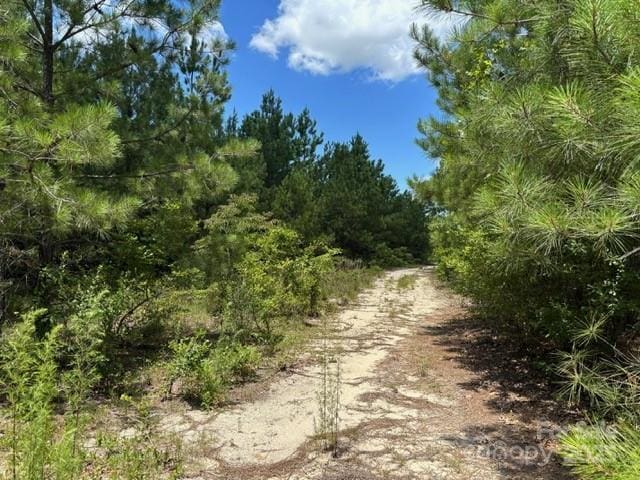 0000 Feather Run Rd, Kershaw, SC 29067 - photo 2