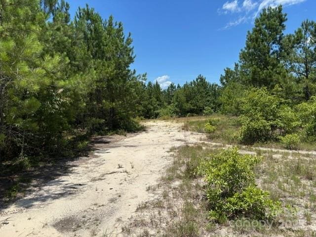 0000 Feather Run Rd, Kershaw, SC 29067 - photo 5