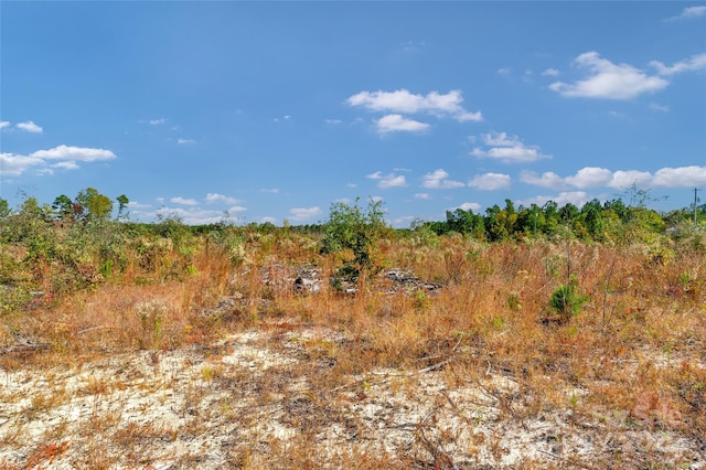 0000 Riley Rd Unit 4, Chesterfield, SC 29709 - photo 15