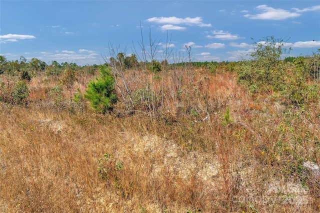 0000 Riley Rd Unit 4, Chesterfield, SC 29709 - photo 17