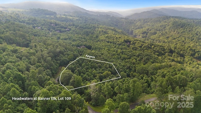 TBD Falls Creek Parkway Unit 109, Elk Park, NC 28622 - photo 1
