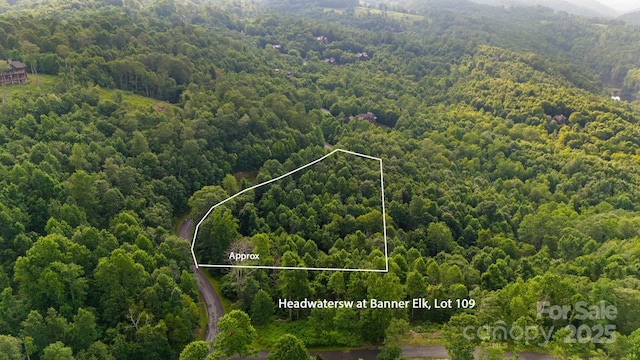 TBD Falls Creek Parkway Unit 109, Elk Park, NC 28622 - photo 3