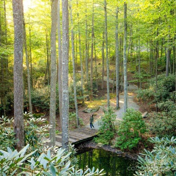 TBD Falls Creek Parkway Unit 109, Elk Park, NC 28622 - photo 21