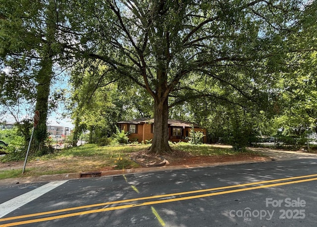 134 Hartford Ave, Charlotte, NC 28209 - photo 3