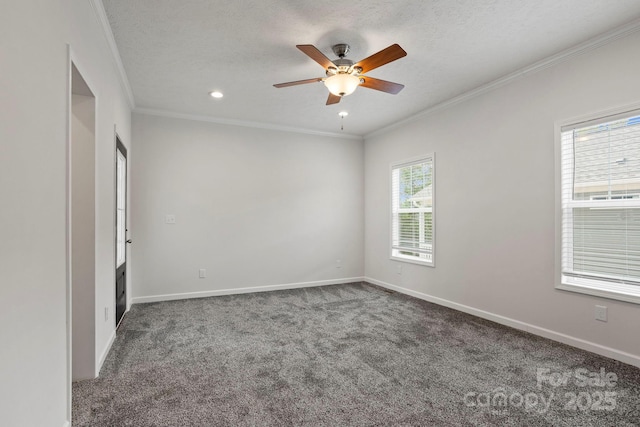 128 Bellamy Rd Unit 14, Asheville, NC 28806 - photo 20