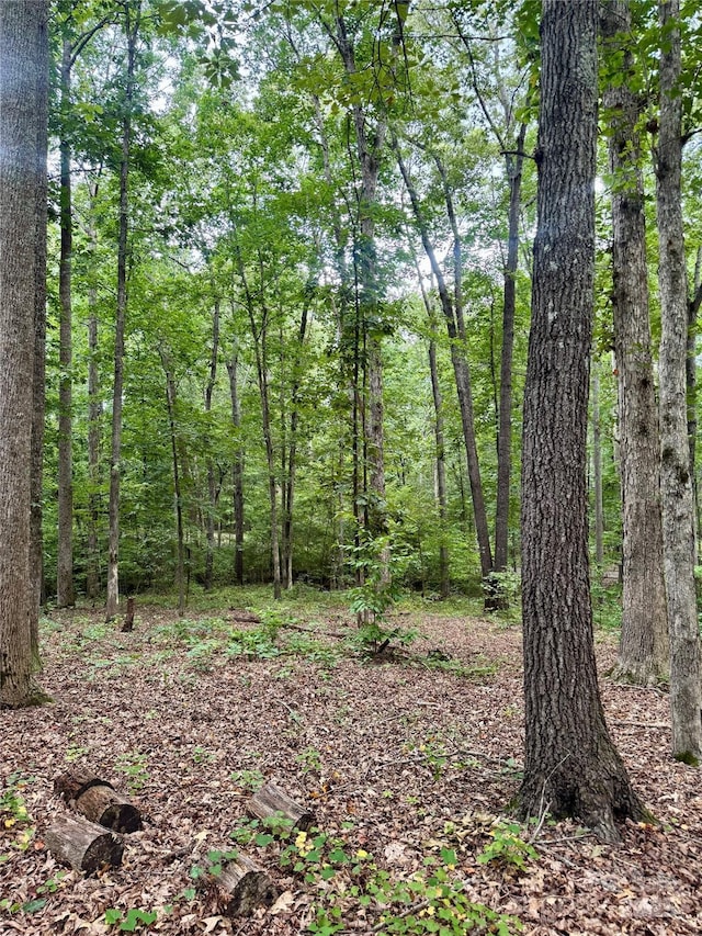 LOT6 Wilson Dr Unit 6, Fort Mill, SC 29707 - photo 2