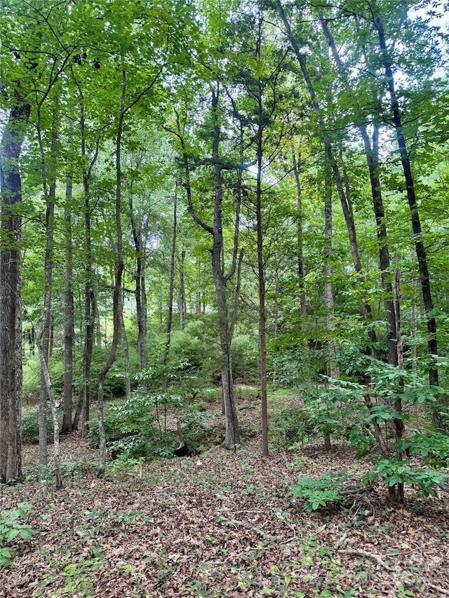 LOT6 Wilson Dr Unit 6, Fort Mill, SC 29707 - photo 3