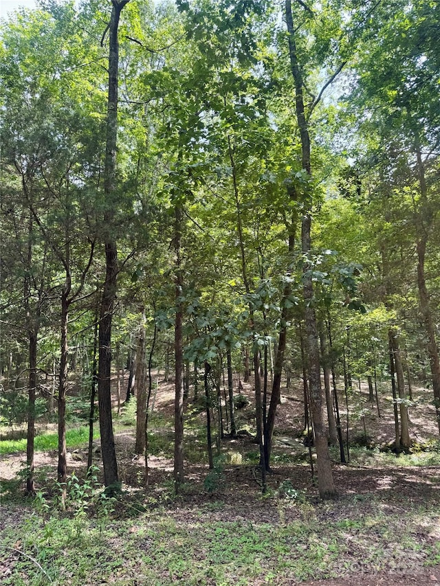 LOT6 Wilson Dr Unit 6, Fort Mill, SC 29707 - photo 4
